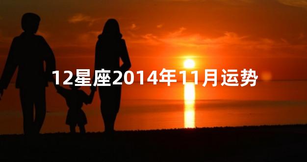 12星座2014年11月运势