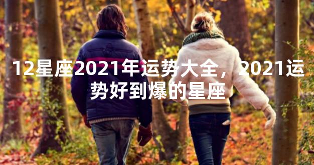 12星座2021年运势大全，2021运势好到爆的星座