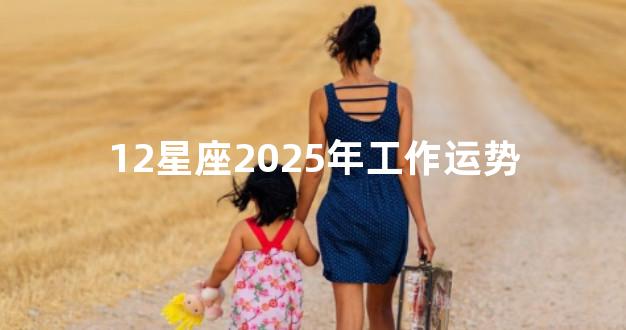 12星座2025年工作运势