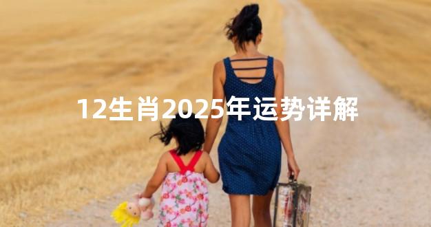 12生肖2025年运势详解