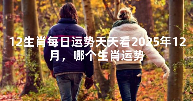 12生肖每日运势天天看2025年12月，哪个生肖运势