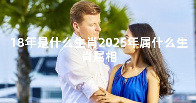 18年是什么生肖2025年属什么生肖属相