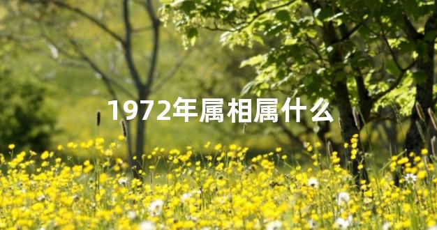 1972年属相属什么