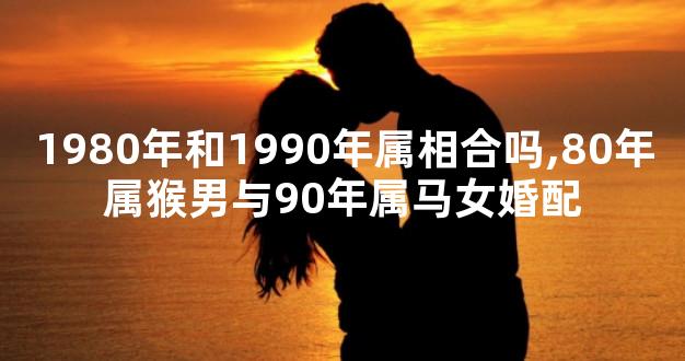 1980年和1990年属相合吗,80年属猴男与90年属马女婚配