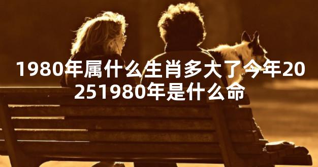 1980年属什么生肖多大了今年20251980年是什么命