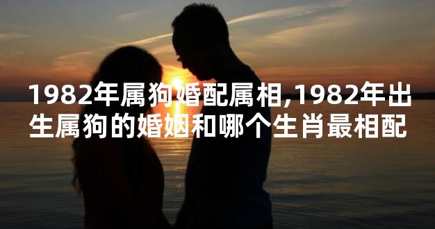 1982年属狗婚配属相,1982年出生属狗的婚姻和哪个生肖