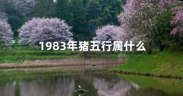 1983年猪五行属什么