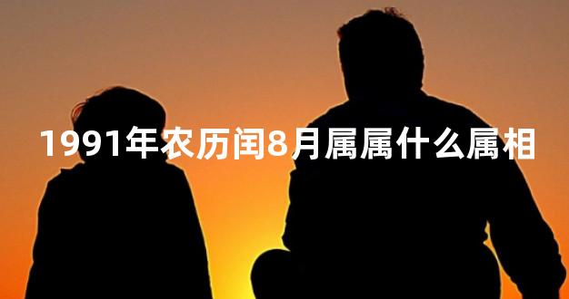 1991年农历闰8月属属什么属相