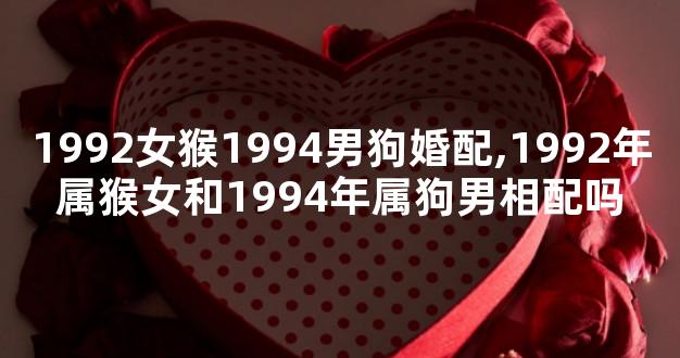 1992女猴1994男狗婚配,1992年属猴女和1994年属狗男相配吗