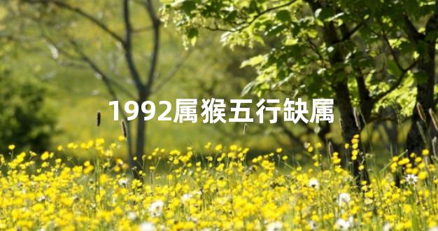 1992属猴五行缺属