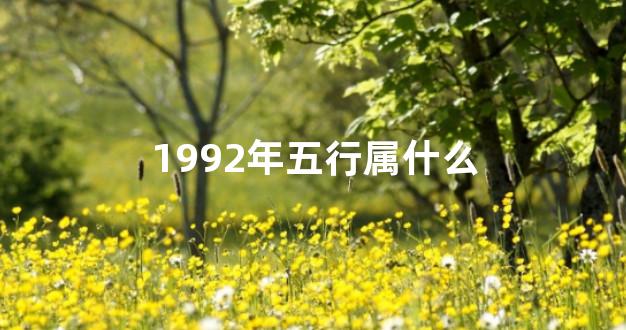 1992年五行属什么