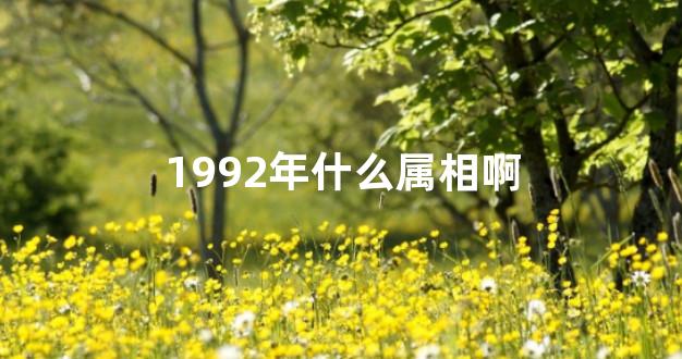 1992年什么属相啊