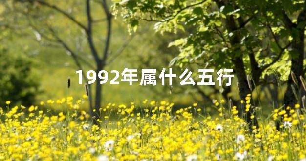 1992年属什么五行