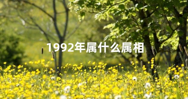 1992年属什么属相