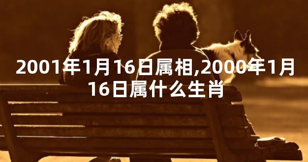 2001年1月16日属相,2000年1月16日属什么生肖