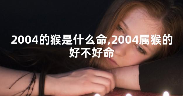 2004的猴是什么命,2004属猴的好不好命