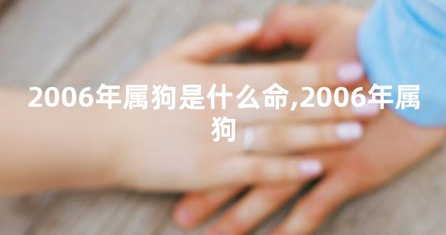 2006年属狗是什么命,2006年属狗