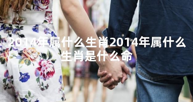 2014年属什么生肖2014年属什么生肖是什么命