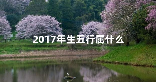 2017年生五行属什么