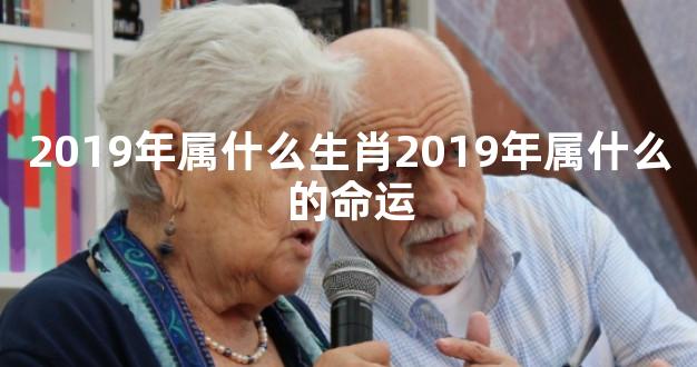 2019年属什么生肖2019年属什么的命运