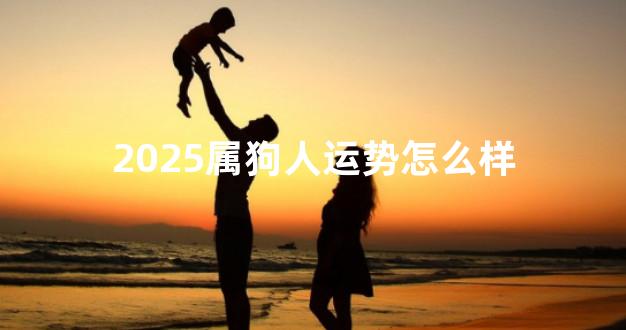 2025属狗人运势怎么样