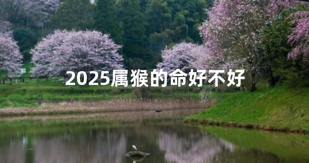 2025属猴的命好不好