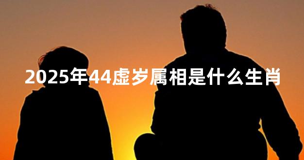 2025年44虚岁属相是什么生肖