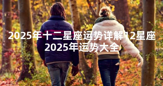 2025年十二星座运势详解12星座2025年运势大全