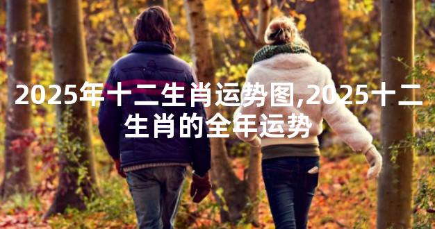 2025年十二生肖运势图,2025十二生肖的全年运势