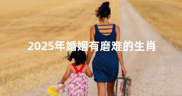 2025年婚姻有磨难的生肖