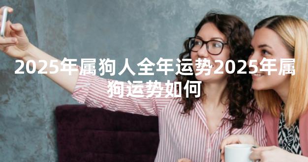 2025年属狗人全年运势2025年属狗运势如何