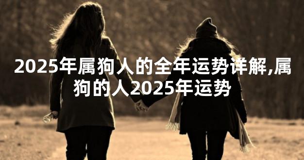 2025年属狗人的全年运势详解,属狗的人2025年运势