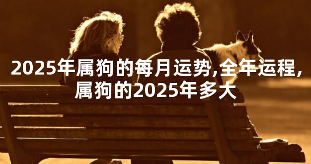 2025年属狗的每月运势,全年运程,属狗的2025年多大