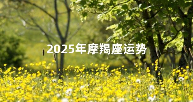 2025年摩羯座运势