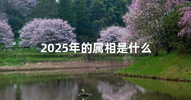 2025年的属相是什么