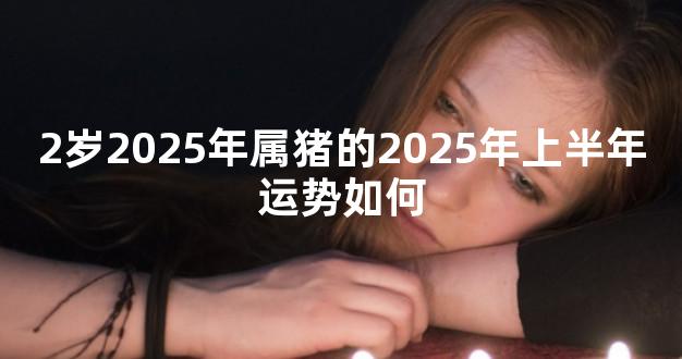 2岁2025年属猪的2025年上半年运势如何