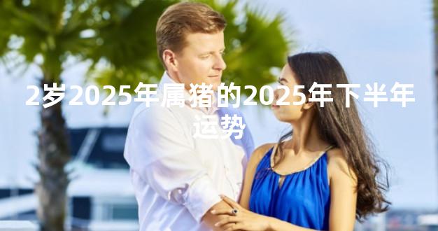 2岁2025年属猪的2025年下半年运势