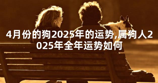 4月份的狗2025年的运势,属狗人2025年全年运势如何