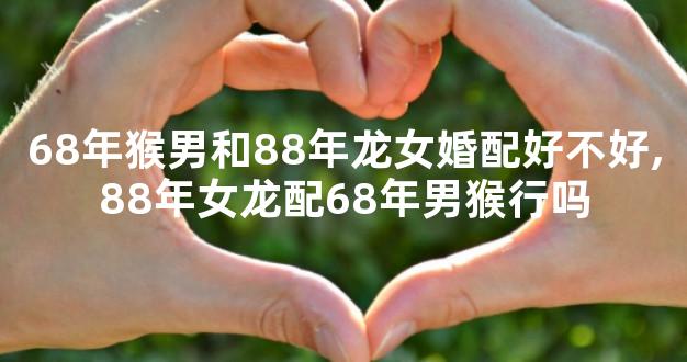 68年猴男和88年龙女婚配好不好,88年女龙配68年男猴行