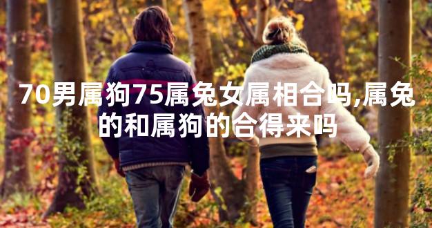 70男属狗75属兔女属相合吗,属兔的和属狗的合得来吗