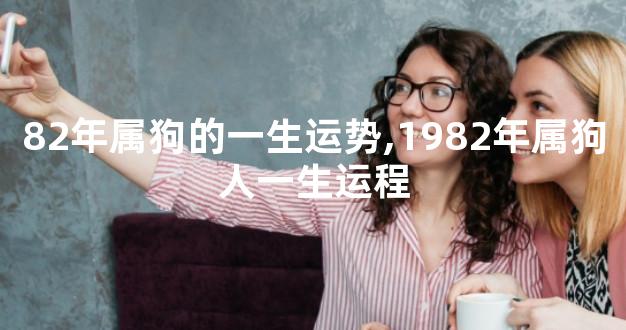 82年属狗的一生运势,1982年属狗人一生运程