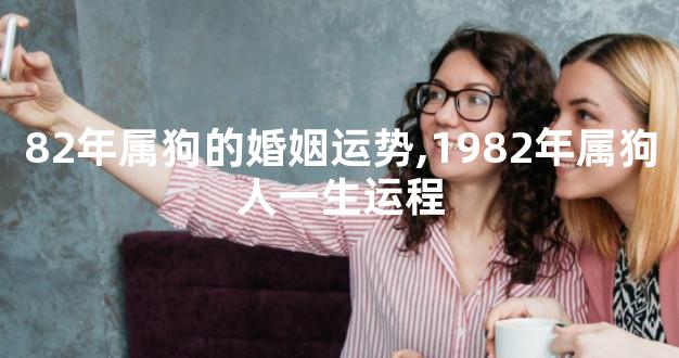 82年属狗的婚姻运势,1982年属狗人一生运程