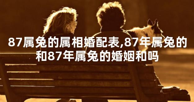 87属兔的属相婚配表,87年属兔的和87年属兔的婚姻和吗