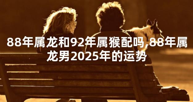 88年属龙和92年属猴配吗,88年属龙男2025年的运势