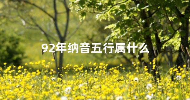 92年纳音五行属什么