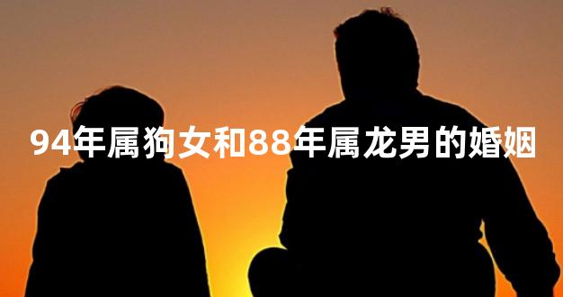 94年属狗女和88年属龙男的婚姻