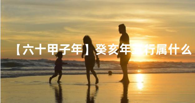 【六十甲子年】癸亥年五行属什么