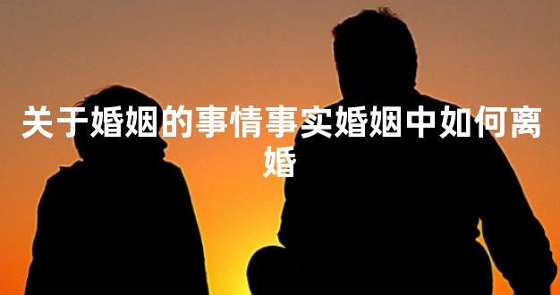 关于婚姻的事情事实婚姻中如何离婚