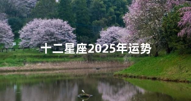 十二星座2025年运势