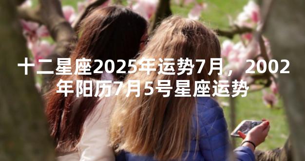 十二星座2025年运势7月，2002年阳历7月5号星座运势